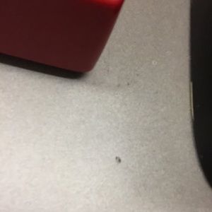 Meet your Posher, Fradis